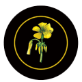 soursobs-logo