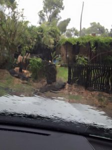 raining on my windscreen
